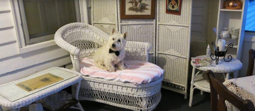 Isaac Hilliard House Bed And Breakfast Pemberton Buitenkant foto